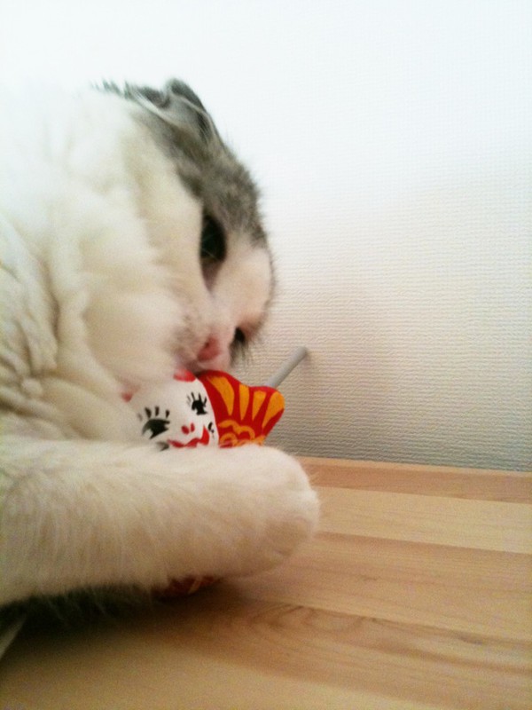 だきしめたいの