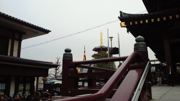 今年もきました。
