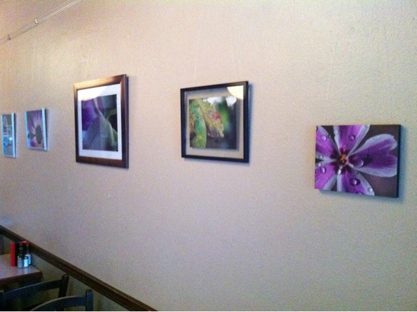 All done! Stop by New Moon Cafe in downtown Olympia anytime in February to see some of my prints! 