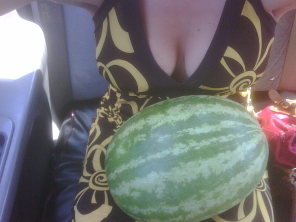 Summer melons