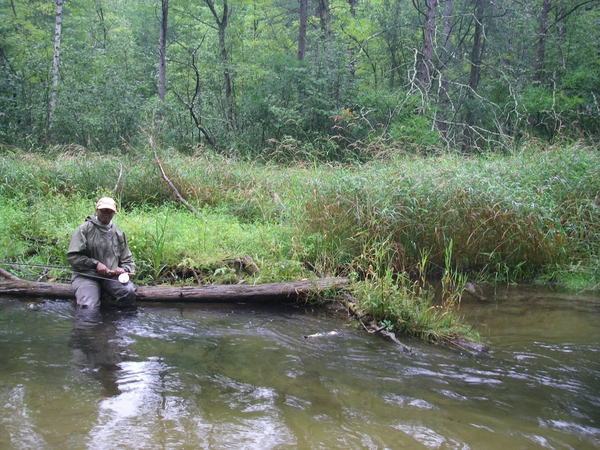 Eat your heart out Mr.President. Good times on the stream stalking #Rainbows,#Brookies, & #Browns