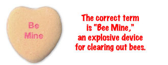 For Valentine's Day, we will be correcting common errors found on candy hearts.