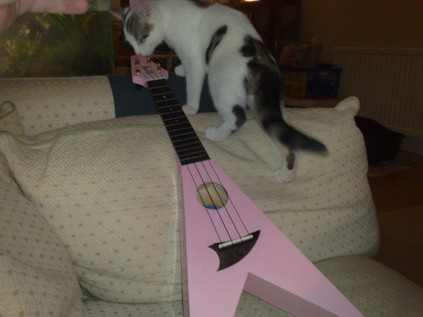 No, no kitten, it's in D major - don't forget the F#