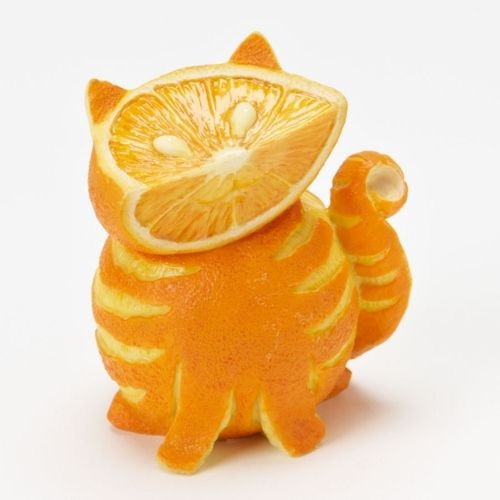 コタツ仲間