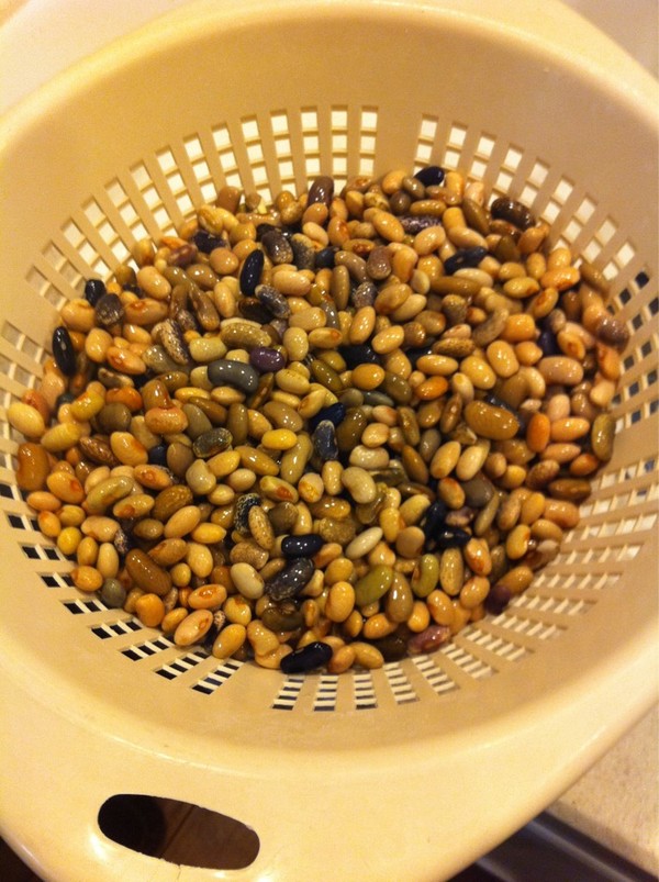 Pebble beans fm @RanchoGordo, into the chili pot! (they grow in many colors! So pretty!) 