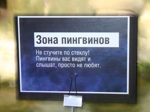Определенно, лучшее, что я видел за последнее время!