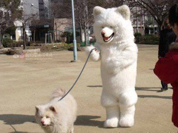 犬を散歩させる犬。狗溜狗XD