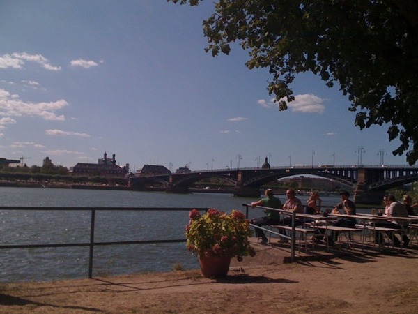 Am Rheinufer mit Blick auf #Mainz