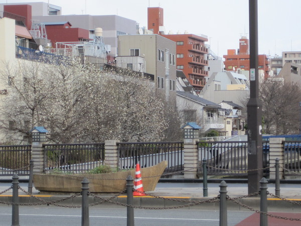 日曜、ホームセンターへ買い出しに向う途中、そういえば咲き始めの桜を見つける季節だったと気づいた