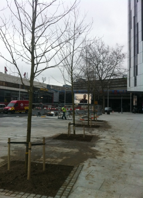 New trees at the elephant and castle