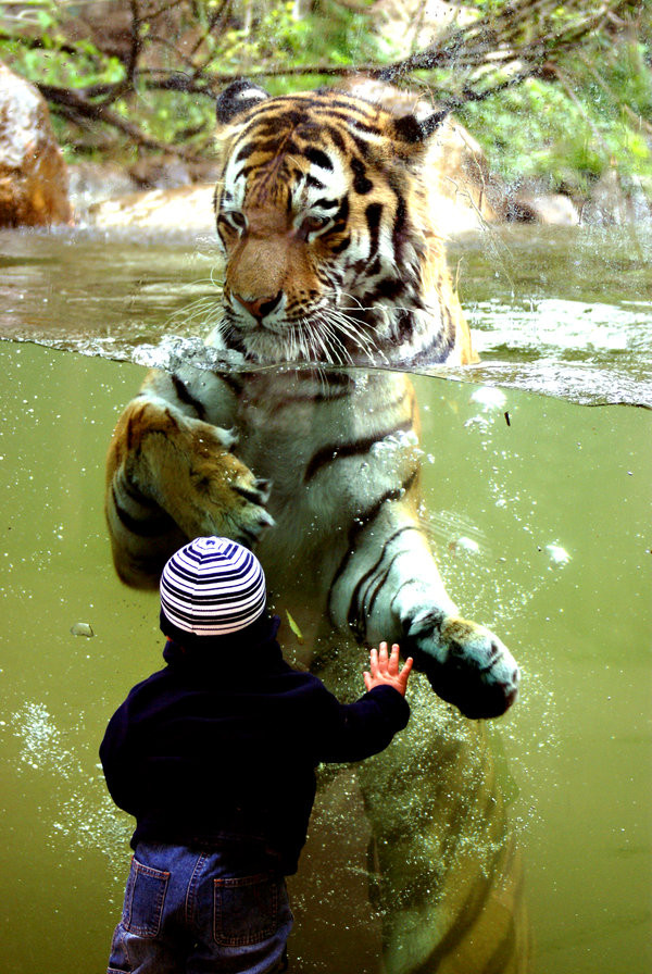 Fearless/无畏 by http://is.gd/2JFJh 温馨之感
