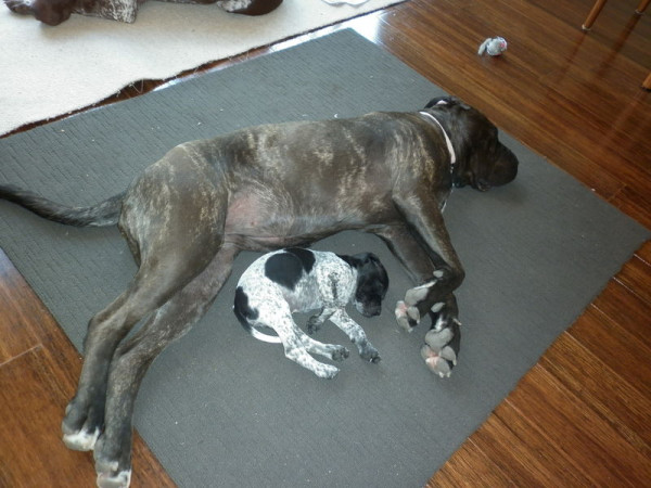 I’ll be the big spoon, you be the little spoon. 