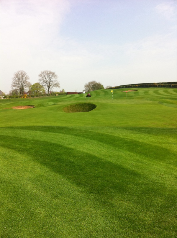 Another view. Looking great in this weather!