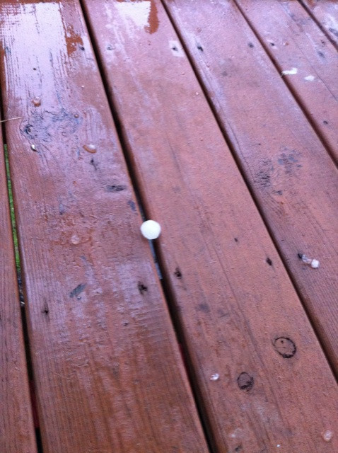 These are some huge pieces of Hail 