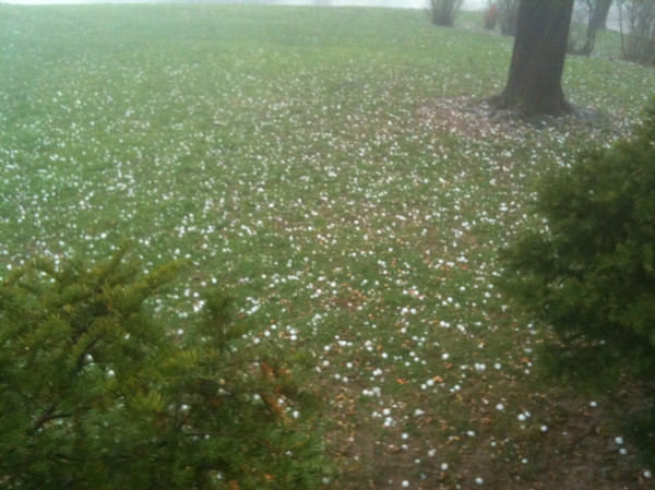 Rare hail storm for us