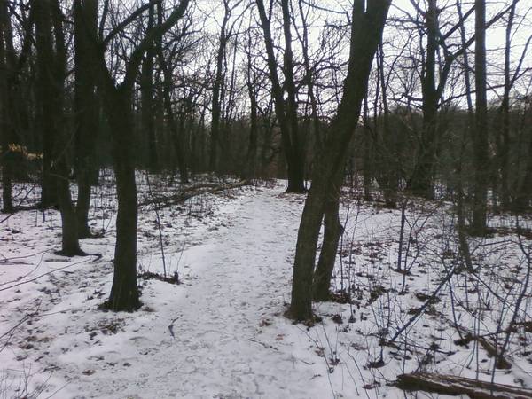 Local trail is all ice.