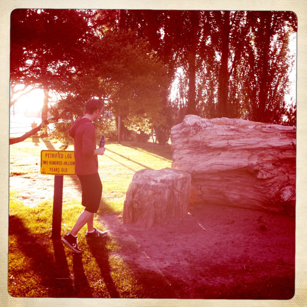 @tomfelton sent us this! funny sign post, we wonder if Tom was 'petrified' of the 'petrified log! 