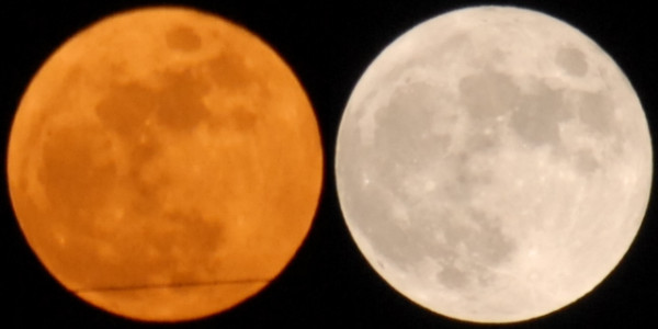 満月の出が大きく見えるのは錯覚か？大気の屈折か？　今夜の月を同じ光学系で撮り比べました。屈折説なら、写真でも大きく写るはず。左が本日20時で、画像上の直径306画素。右が23時で、直径309画素。「変化なし」と言えます。 