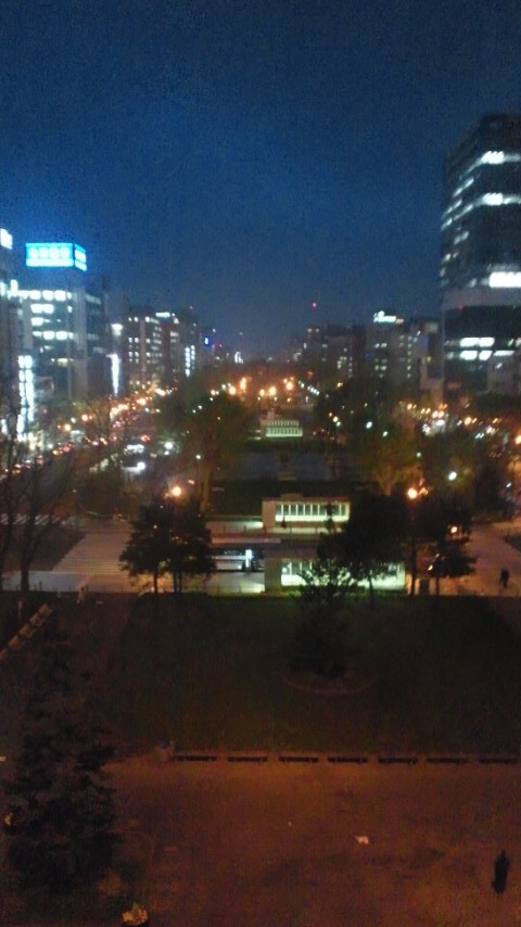 夜の大通り公園