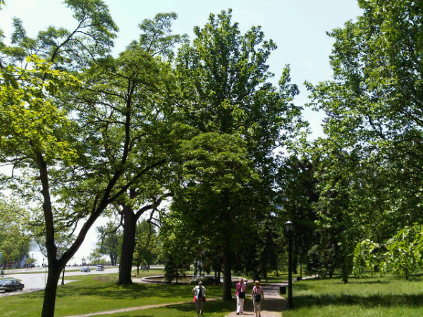 It was raining this morning, but it is gorgeous out now!