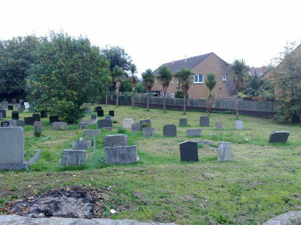Interesting trees for a churchyard - yew, horse chestnut,, palm...