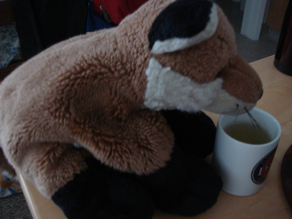 Morning tea with @thetower! We're having genmaicha this morning.
