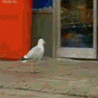 the best looting footage #londonriots