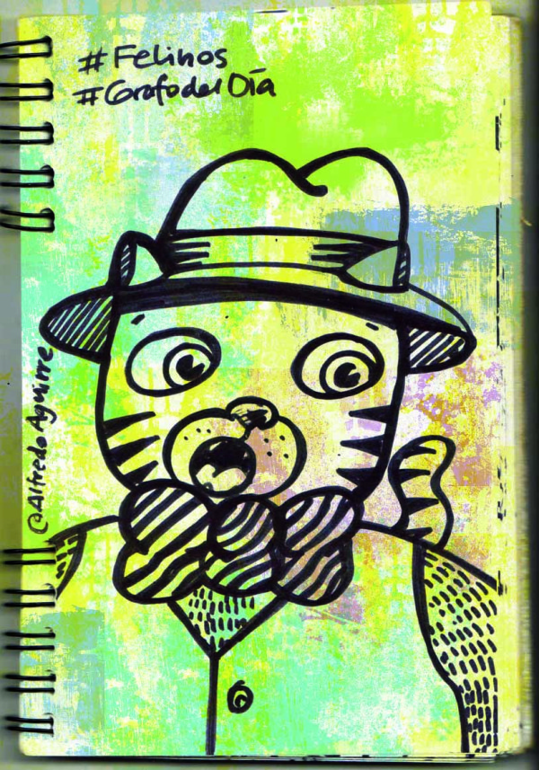 Va el #grafodeldía #felinos de ayer ... no podía faltar si tengo 2 gatunos por aquí ...