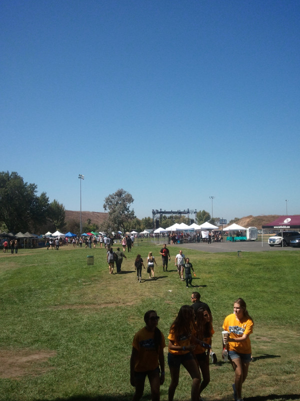 The field. #playgroundfest