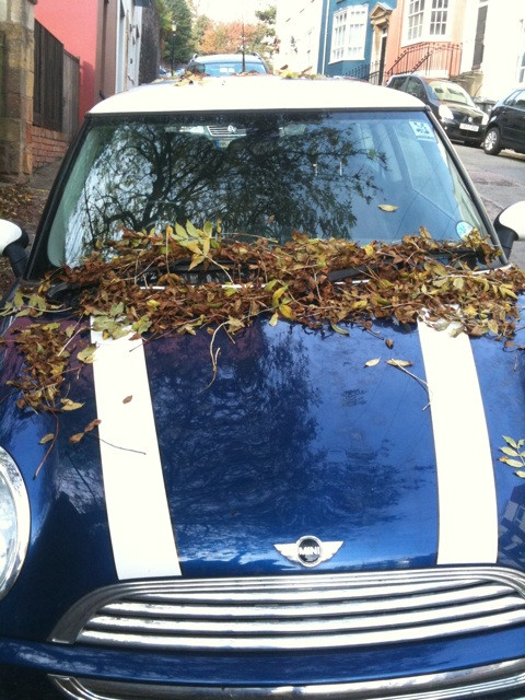 It's just possible I should drive my car more often.