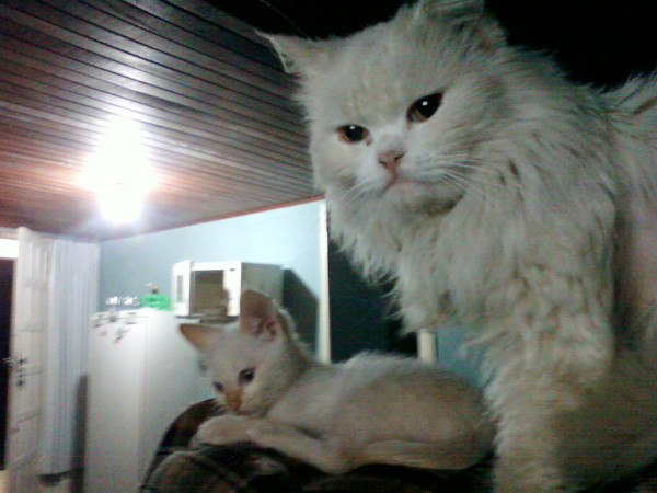 Pai e filho.Para @bru_soratto