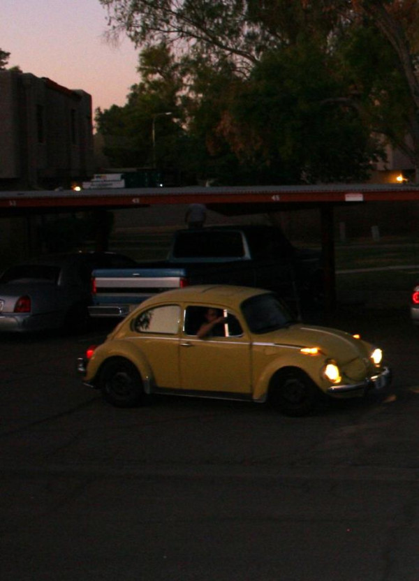 @kenny_wormald @juliannehough @mybrewtube i found a bug that looked like the #footloose bug in my neighborhood