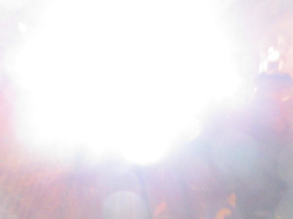 #OWS: Here's what your image looks like when the police really don't want you to film
