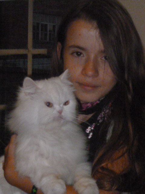 Tolousse y yo