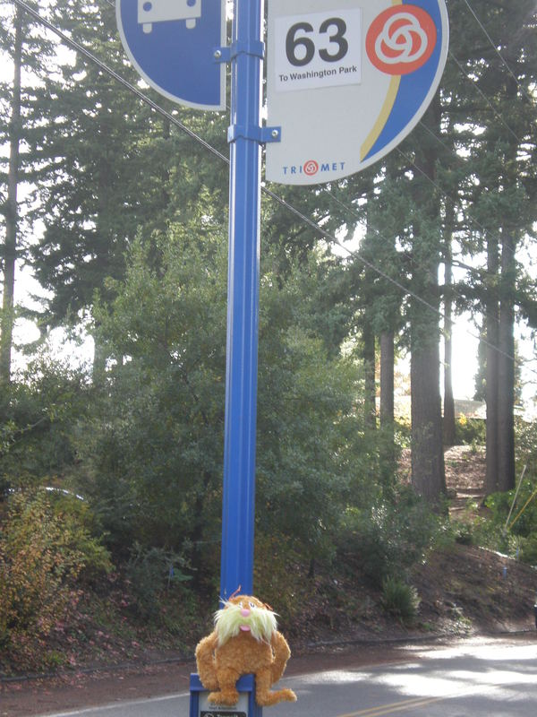 How did he get there?  Oh yeah, the #63.  You can too.  Thanks Trimet!  
