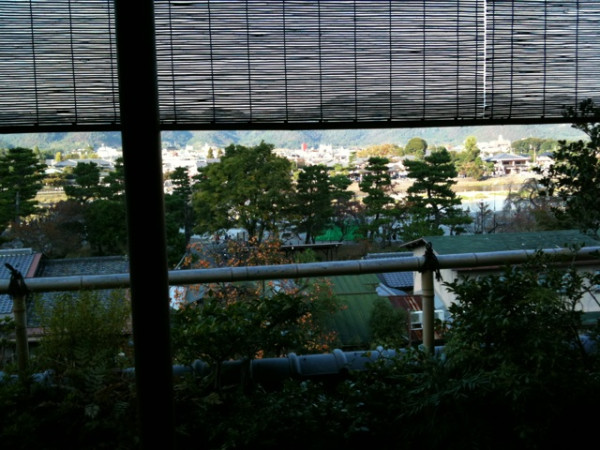群集見えず。