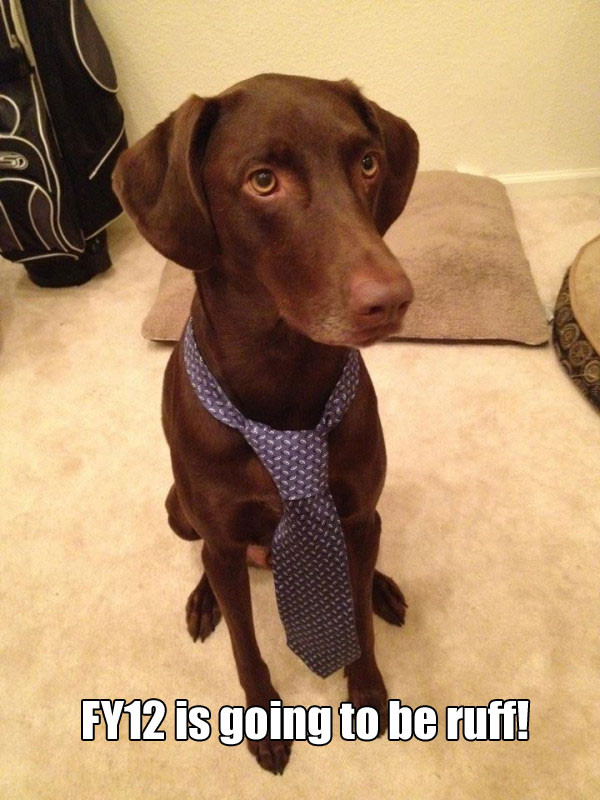 Businessaurus' thoughts on… (cc @Agent_G)