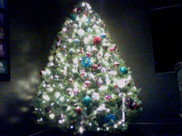 Feeling the Christmas spirit!!!! =] Isn't she beautiful?!?!