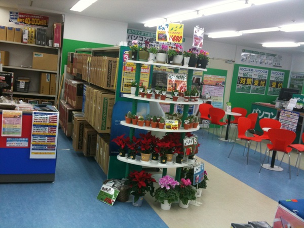 パソコン工房で鉢植えの販売が始まってます。曰く「電磁波を吸収します」(サボテン)、「冬はやっぱりシクラメン」etc…。