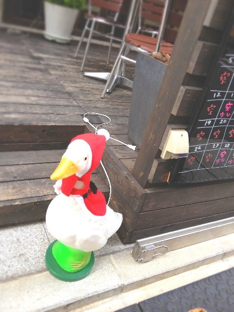Christmas Duck