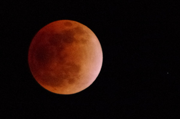 皆既食の最大と思われる２３時３１分頃。右側に星が写ってます。