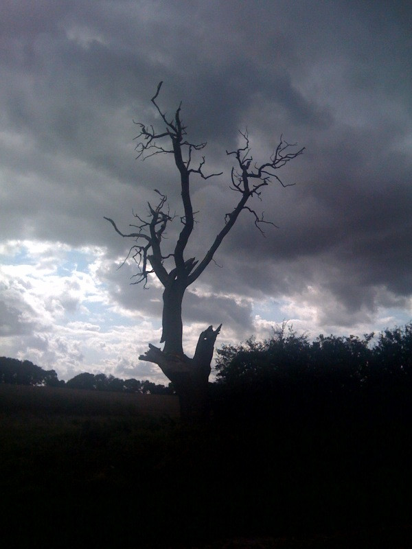 Dark forboding in Norfolk