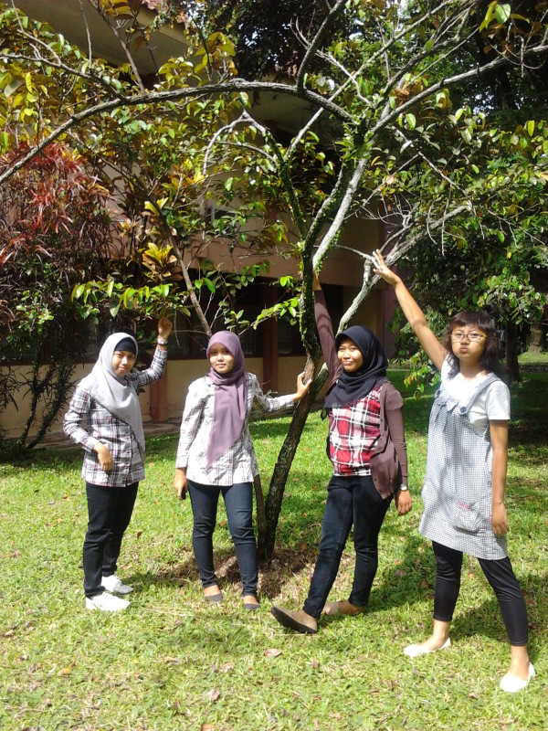 wasting time and wasting memory :)
taken by Samsung Galaxy ACE