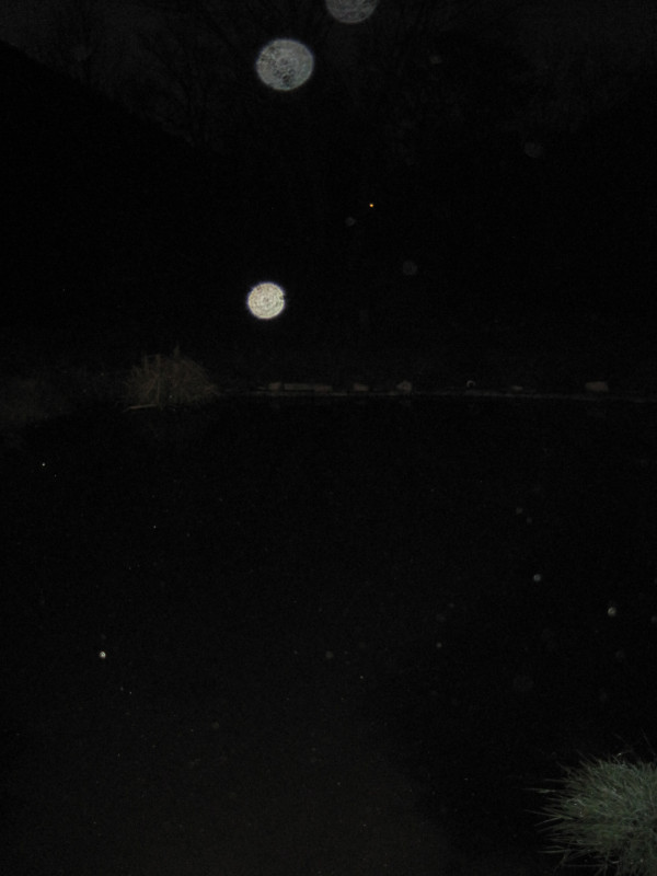 Orbs over the pond. I always ask polite-like first, count to three