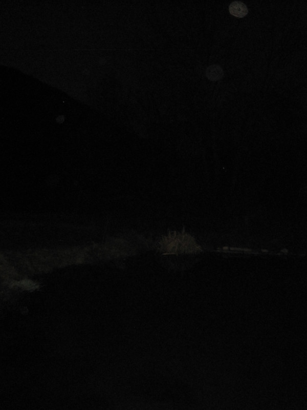 Enlargement of the orb at 1:00 reveals the face of a yelling person.