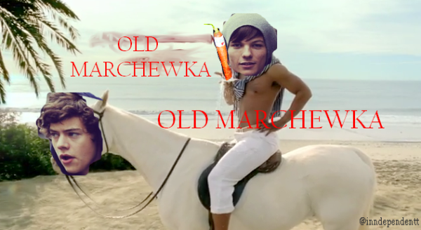 Old Marchewka jak nie wiecie o co chodzi to przeczytajcie ten rozdział : http://wordswillbejustwordss.blogspot.com/ ♥