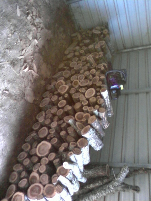 Firewood