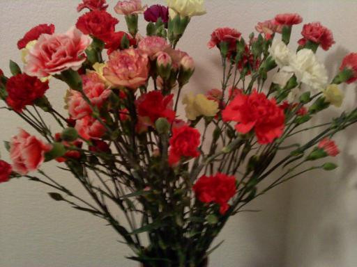 flowers from the parents!