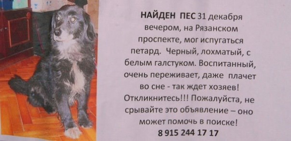 Пожалуйста перепостите! Может найдутся хозяева! Точно найдутся. 