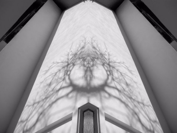 Touch me! Spider Shadows-Architecture Art